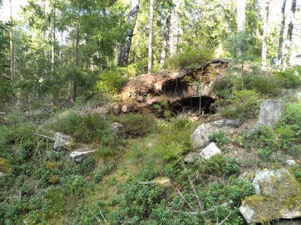 Reste eines Erdkellers im Wald