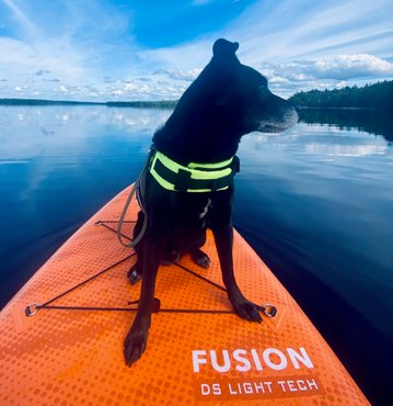 SUP mit Hund in Schweden