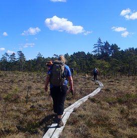 markierter Wanderweg in Südschweden